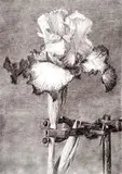 Iris II in a Clamp by William Kentridge, colour photolithograph, sold Jun 2015