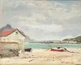 Terence McCaw, Hout Bay Beach