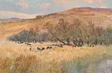 Christopher Tugwell, Cattle Herder