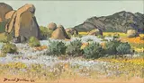David Botha, Namaqualand in Bloom, oil on canvas laid down on board