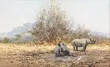 David Shepherd, Rhino I, oil on canvas