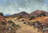 Conrad Theys, Namib Landscape