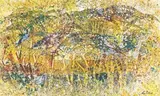 Gordon Vorster, Doringbome
