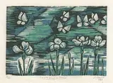 Peter Clarke, White Wings & Petals