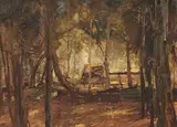 Pieter Wenning, Forest