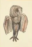 Sydney Kumalo, Owl