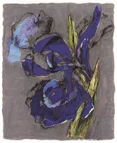 William Kentridge, Iris, mixed media and collage on paper