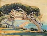 Sydney Carter, Windswept Tree, Beach Beyond