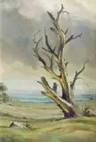 Christopher Tugwell, Dehydrated Tree
