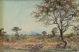 Erich Mayer, Bushveld Landscape