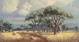 Willem Hermanus Coetzer, North-Eastern Transvaal, Naby Punda Maria
