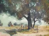 Christopher Tugwell, Conversation in the Shade