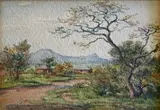 Erich Mayer, Bushveld Huts