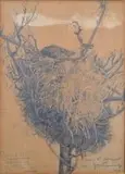 Vulture in a Nest by Jacobus Hendrik Pierneef, pencil on paper, sold Apr 2014