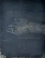 Paul Stopforth, Hand, from the Steve Biko series, mixed media on paper