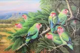 Phillip Alexander Clancey, Rosyfaced Lovebirds, oil on board