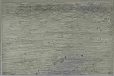 Richard Penn, Field of View vi, monoprint