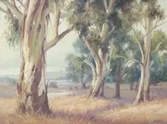 Giuseppe (Catty) Cattaruzza, Blue Gums, oil on canvas laid down on board