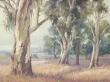 Giuseppe (Catty) Cattaruzza, Blue Gums, oil on canvas laid down on board