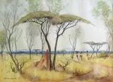 Under the Acacia Trees by Willem Hermanus Coetzer, watercolour over pencil, offered Nov 2013