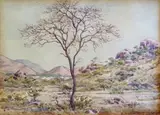 Erich Mayer, Tree in a Landscape