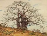 Erich Mayer, Baobab Tree