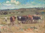 Adriaan Boshoff, Cattle in the Field