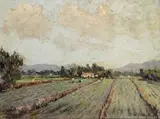George William Pilkington, Vegetable Farm, Cape Flats