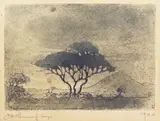 Jacobus Hendrik Pierneef, Tree, etching