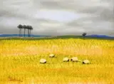 Pieter van der Westhuizen, (Untitled) Sheep I