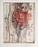 Dirk Meerkotter, Bird of Prey, colour etching