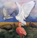 Leon de Bliquy, Five Ibis