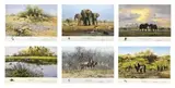 David Shepherd, David Shepherd in South Africa, The SAPPI Selection Series