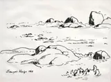 François Krige, Clifton