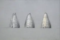 Wim Blom, Cowrie Shells, pencil and pencil crayon