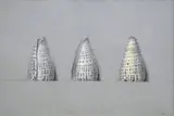 Wim Blom, Cowrie Shells