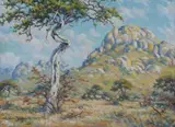 Erich Mayer, Bushveld Landscape