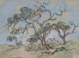 Gregoire Boonzaier, Die Windbewaaide Bome, Kenilworth Vlakte, Kaap