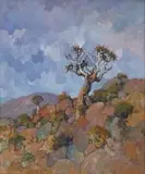 Conrad Theys, The Sentinel (Kokerboom)