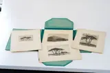 Nita Spilhaus, Trees, a portfolio of 14 etchings, etchings