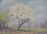 Jacobus Hendrik Pierneef, Dombeya in Spring