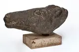 Sydney Harpley, Horse Head, cement fondue