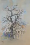 Oak in Bishops Court by Gregoire Boonzaier, ink and watercolour over charcoal, sold Nov 2013