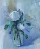 Louis van Heerden, Protea