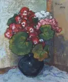 Conrad Theys, Malvas in Swart Pot