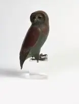 Robin Lewis, Owl, moulded copper with a brown and verdigris patina, mounted on a perspex base