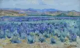 Namaqualand Landscape by Hugo Naude, oil on board, sold Nov 2013