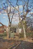 Frans Oerder, The Artist's Garden, Eastwood Street, Pretoria