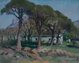 Terence McCaw, Cape Cottages Under Pine Trees