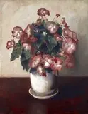 Frans Oerder, Still Life with Begonias